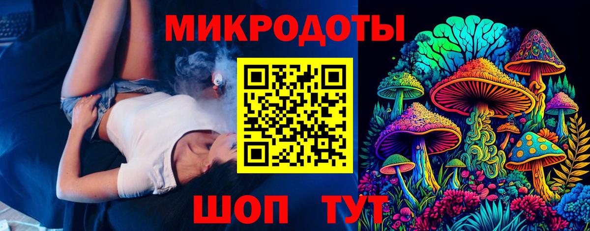 Галлюциногенные грибы Psilocybe Магадан