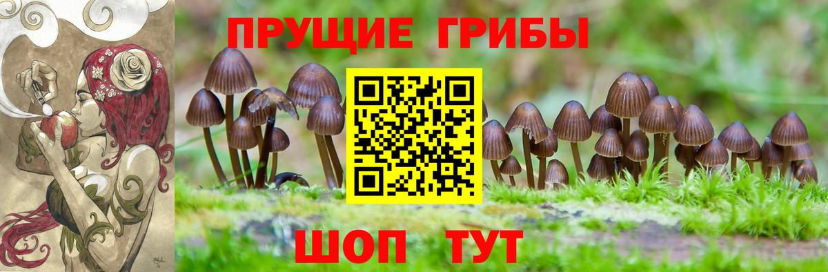 наркота  Галлюциногенные грибы Psilocybe  Вход с VPN  Магадан  Галлюциногенные грибы Magic Shrooms 